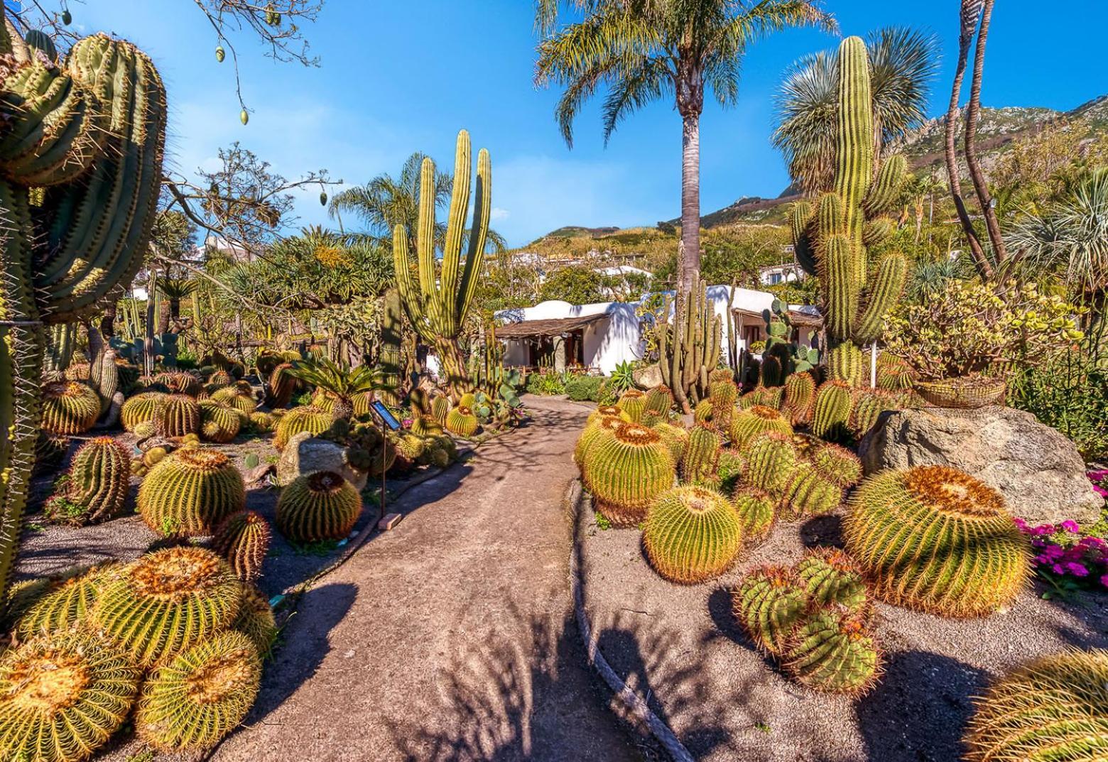 Villa Ravino Secret Retreat Forio di Ischia Eksteriør bilde